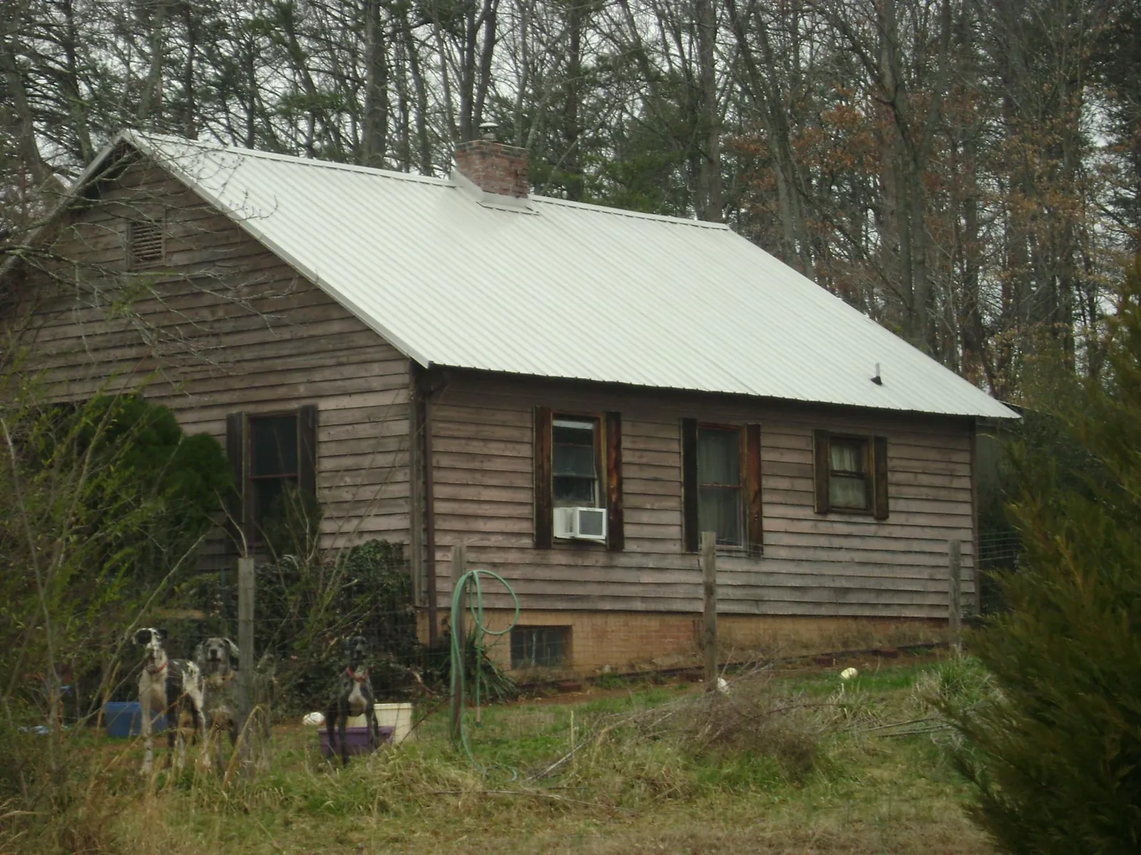 White metal roof on an old wood sided farmhouse, from a Asphalt Shingle Roof Repair job in Ellsworth